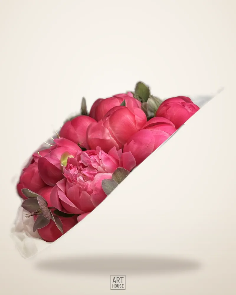 Peony & Helleborus