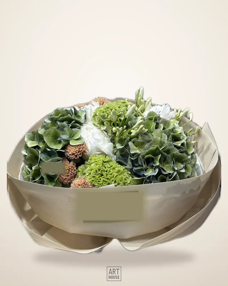 Green Hydrangea