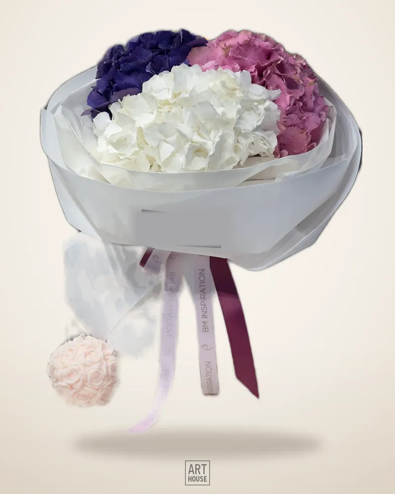 3 Hydrangea
