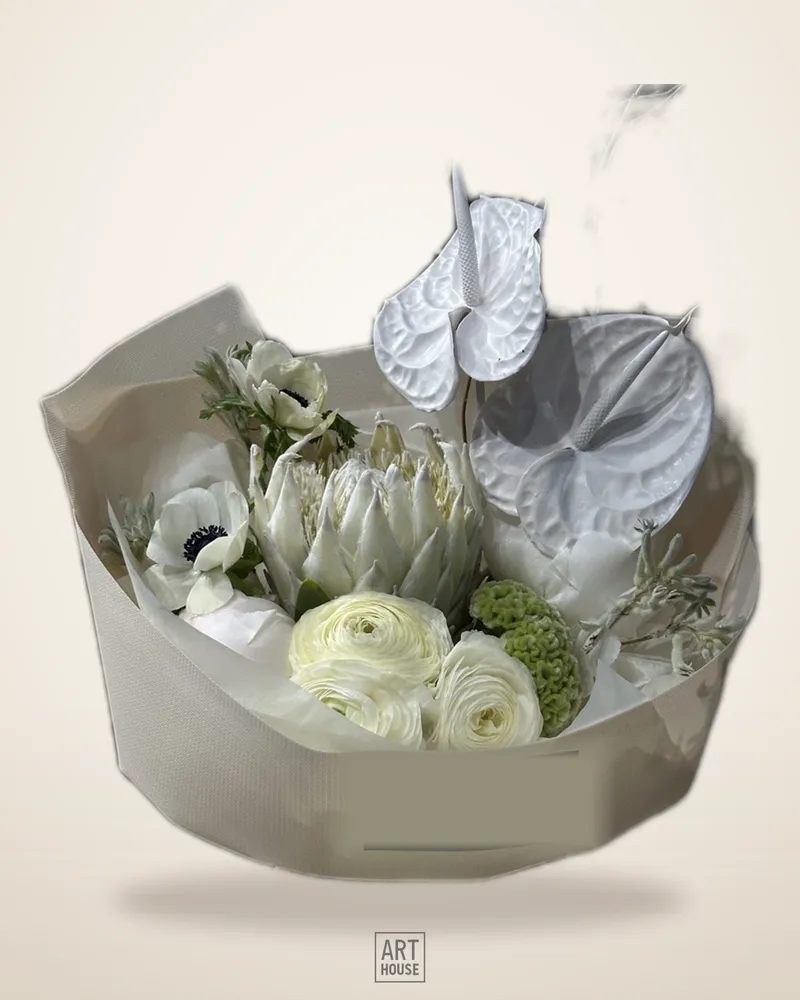Protea ACCENT