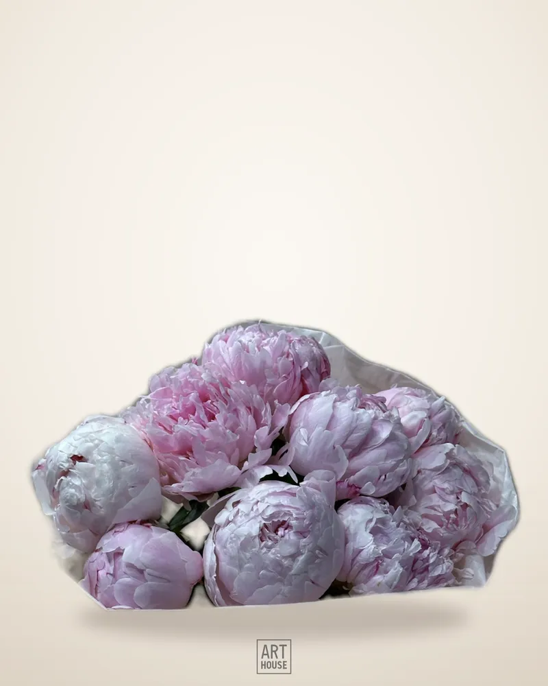 9 PEONY