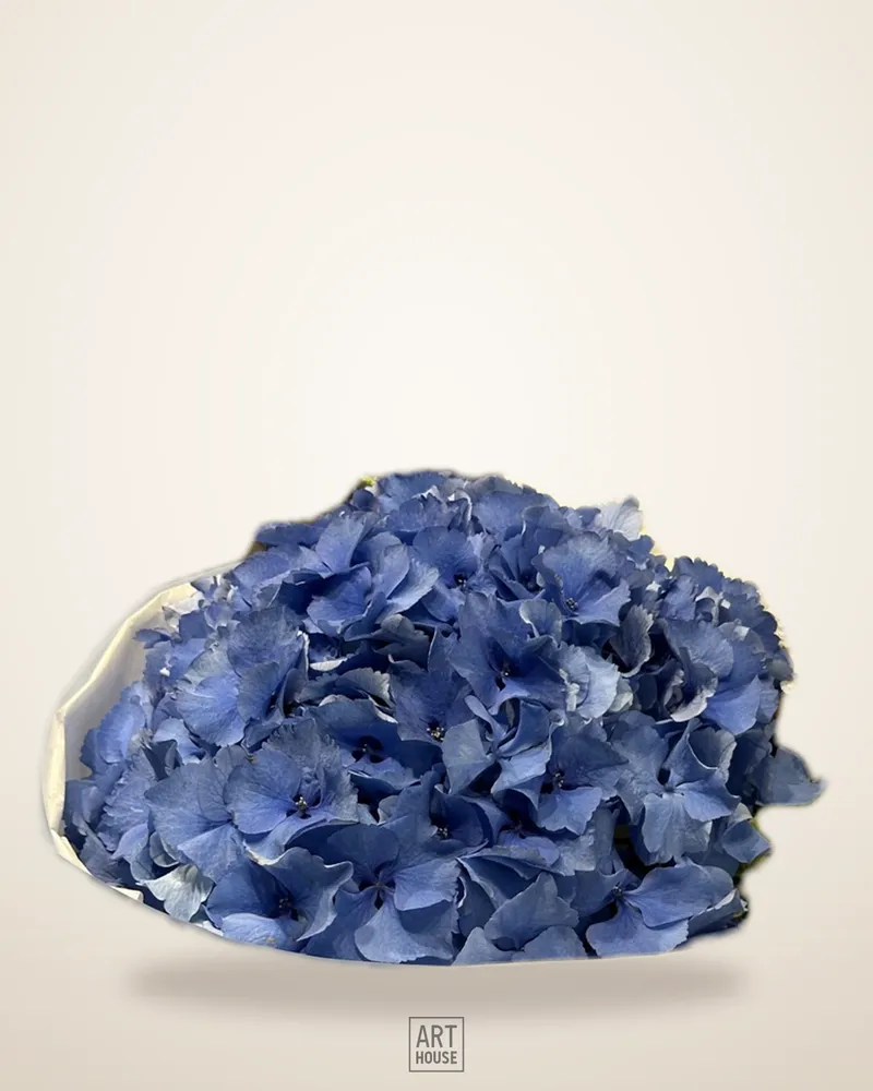 Blue HYDRANGEA