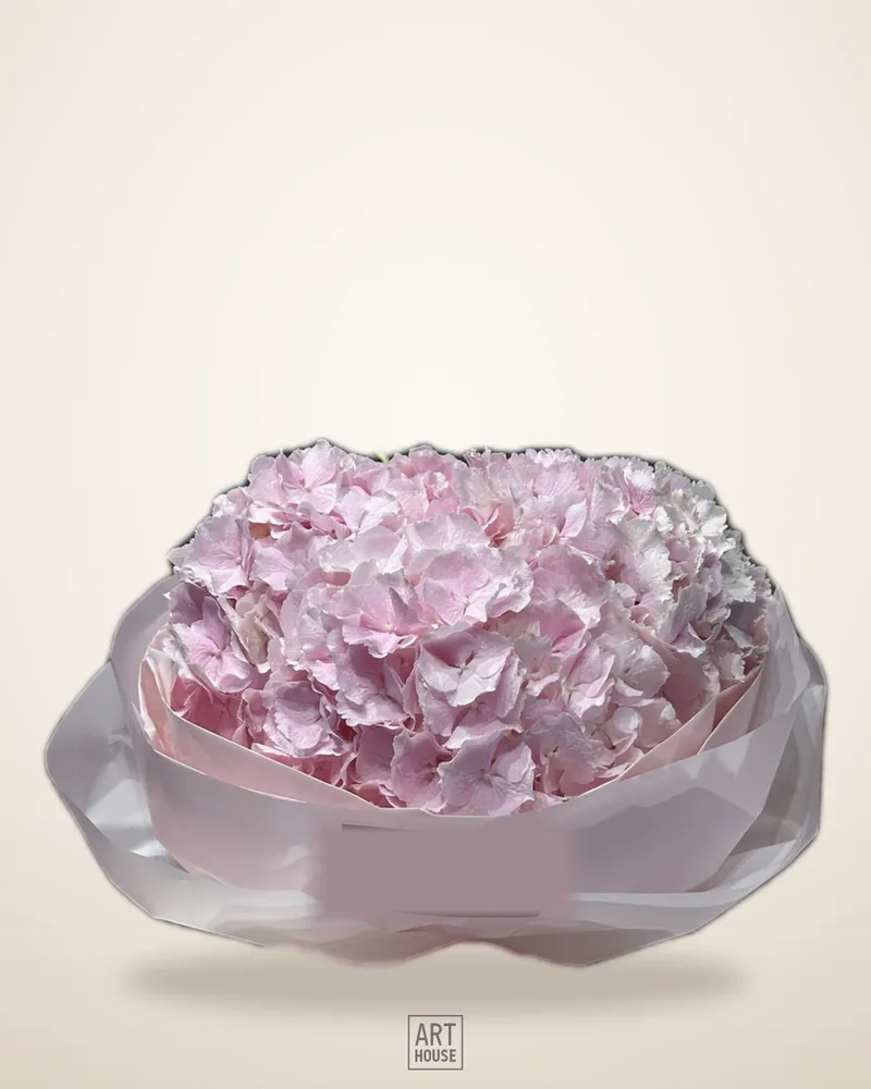 3 hydrangea